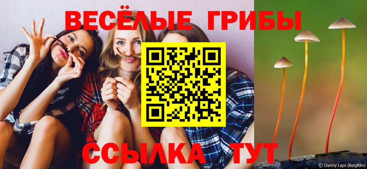 Псилоцибиновые грибы Cubensis  Вход с VPN  Светлоград 