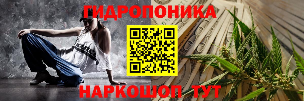Шишки марихуана марихуана Светлоград
